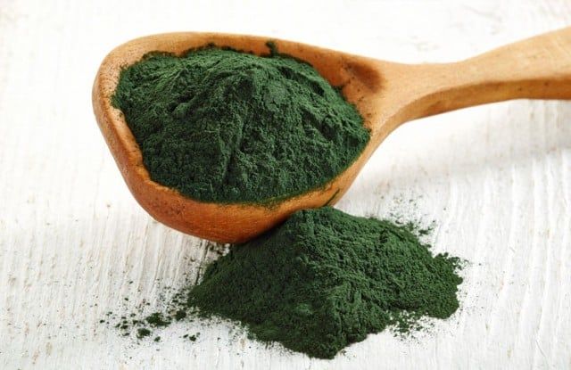La photo représente de la spiruline